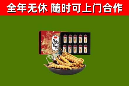 尚志回收冬虫夏草价格